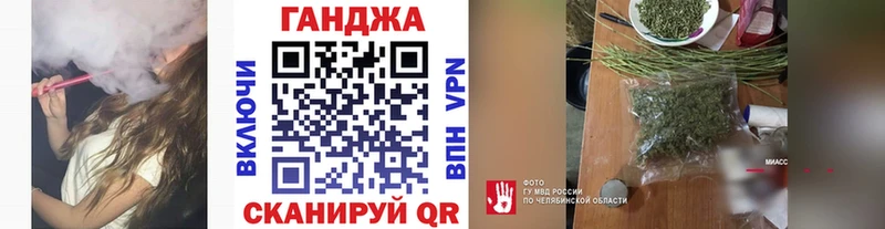 Конопля сатива  Норильск 